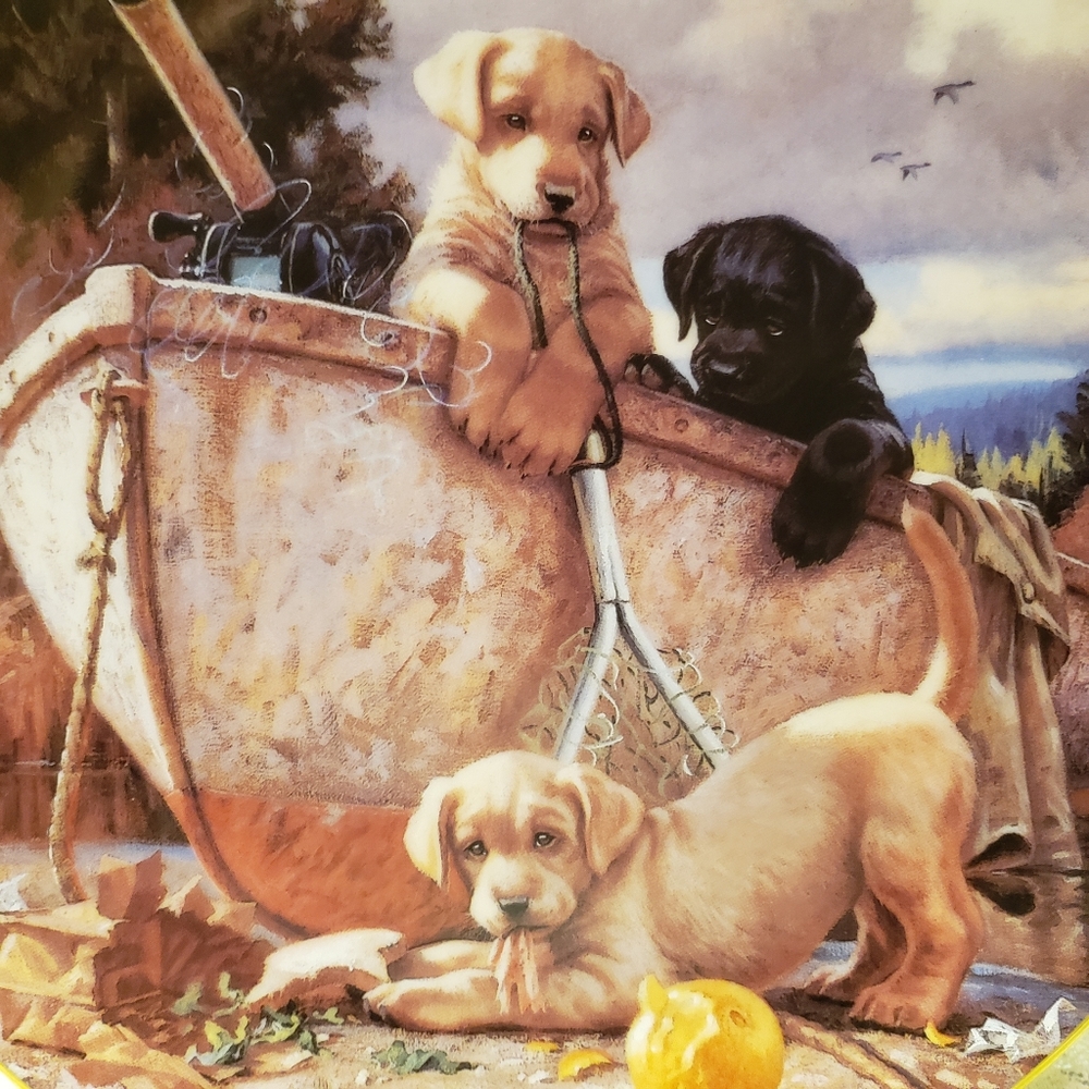 Vtg 1994 Puppy Plate Lunch Break Gold Rim #0482A